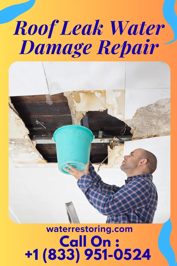 Roof Leak Water Damage Repair in Wardsville, MO