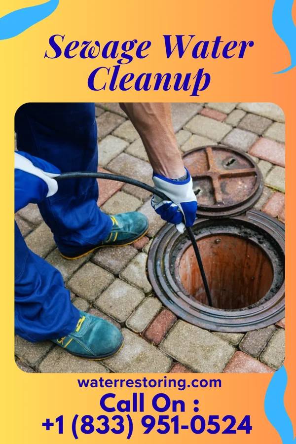 Sewage Water Cleanup in Wardsville, MO